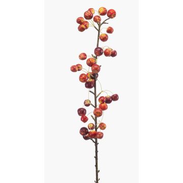 Ramo decorativo di melo ornamentale KELZAR con frutti, rosso, 85 cm