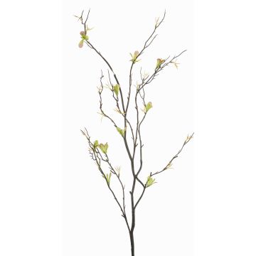 Ramo decorativo di betulla ZUNLER, verde, 90 cm