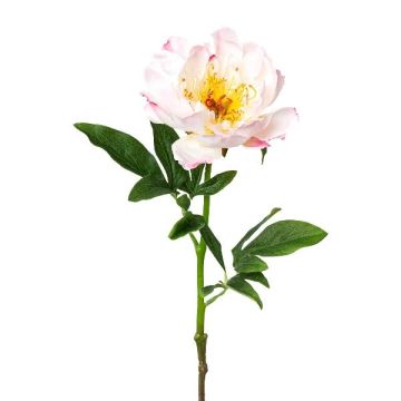 Fiore artificiale peonia PEFIN, rosa, 50 cm