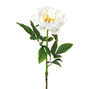 Fiore artificiale peonia PEFIN, bianco, 50 cm
