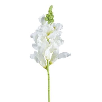 Fiore artificiale bocche di leone SIRKALE, bianco, 40 cm