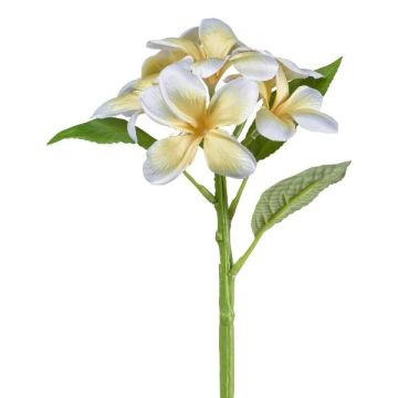 Fiore artificiale Frangipani KHENIS, giallo-crema, 30 cm