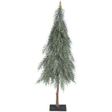 Albero decorativo cipresso BAMAT, tronco artificiale, grigio, 75cm Albero decorativo cipresso BAMAT, tronco artificiale, grigio, 75cm