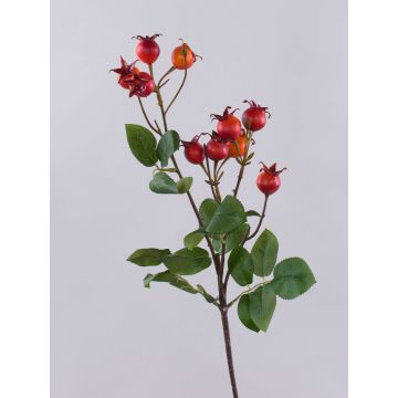 Ramo decorativo Rosa di patata LOPUNY con bacche di rosa canina, arancione, 70cm Ramo decorativo Rosa di patata LOPUNY con bacche di rosa canina, arancione, 70cm