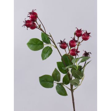 Ramo decorativo di rosa di patata LOPUNY con bacche di rosa canina, rosso, 70cm Ramo decorativo di rosa di patata LOPUNY con bacche di rosa canina, rosso, 70cm
