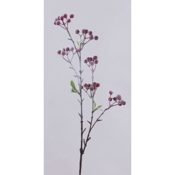 Ramo decorativo di sorbo SOPUNY, bacche, innevato, rosso-bianco, 70cm Ramo decorativo di sorbo SOPUNY, bacche, innevato, rosso-bianco, 70cm