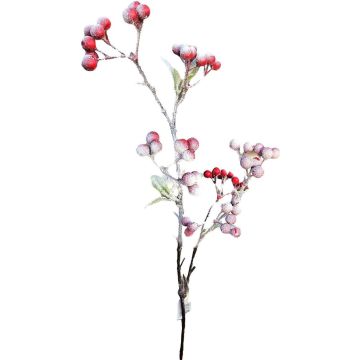 Ramo decorativo di sorbo SOPUNY, bacche, innevato, rosso-bianco, 70 cm