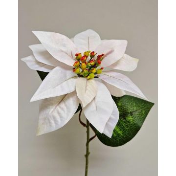 Poinsettia artificiale in velluto LIBASSE, bianco-rosa, 45 cm