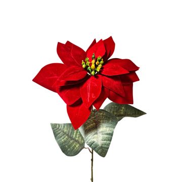 Poinsettia artificiale in velluto LIBASSE, rossa scuro, 65 cm