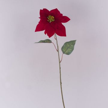 Poinsettia artificiale in velluto LIBASSE, rossa scuro, 65 cm Poinsettia artificiale in velluto LIBASSE, rossa scuro, 65 cm