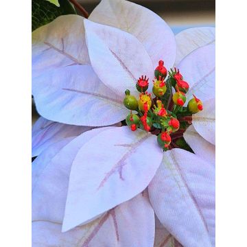 Poinsettia artificiale in velluto LIBASSE, bianco-rosa, 65 cm