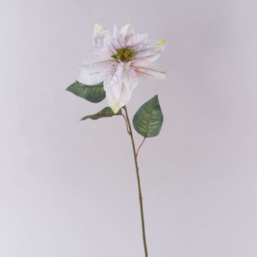 Poinsettia artificiale in velluto LIBASSE, bianco-rosa, 65 cm Poinsettia artificiale in velluto LIBASSE, bianco-rosa, 65 cm