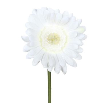 Fiore artificiale Gerbera TUNZA, bianco, 50 cm