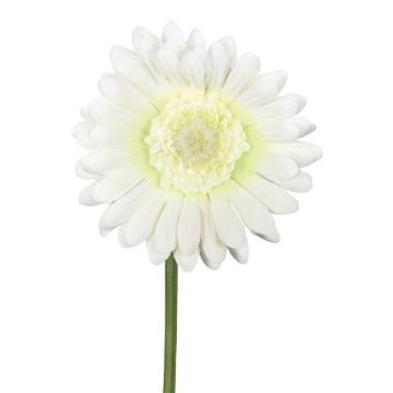 Fiore artificiale Gerbera TUNZA, crema, 50 cm