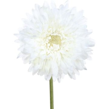 Fiore artificiale Gerbera MOLZA, bianco, 60 cm