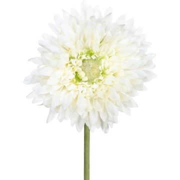 Fiore artificiale Gerbera MOLZA, crema, 60 cm