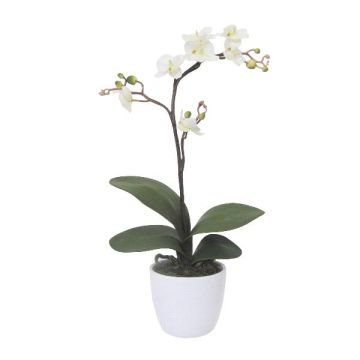 Orchidea artificiale Phalaenopsis MALZA, bastoncino, radici, color crema, 55 cm