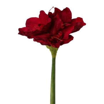 Fiore artificiale amarillide WELBA, rosso scuro, 65cm Fiore artificiale amarillide WELBA, rosso scuro, 65cm