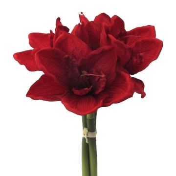 Mazzo di fiori artificiali Amaryllis LOMIRE, rosso, 30cm Mazzo di fiori artificiali Amaryllis LOMIRE, rosso, 30cm