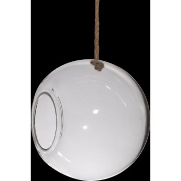 Vaso appeso di terrario FARO con corda, palla, trasparente, 25cm, Ø25cm Vaso appeso di terrario FARO con corda, palla, trasparente, 25cm, Ø25cm