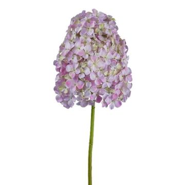Fiore decorativo ortensia a pannocchia AURONAS, rosa chiaro, 85 cm