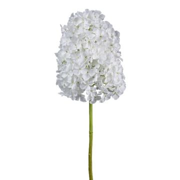 Fiore decorativo ortensia a pannocchia AURONAS, bianco, 85 cm