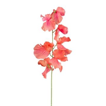Fiore artificiale Lathyrus latifolius TERRAT, salmone, 50 cm
