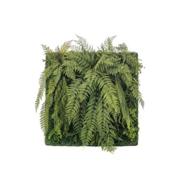 Fern Asparagus ZALVEN in plastica, verde, 100x100 cm Fern Asparagus ZALVEN in plastica, verde, 100x100 cm