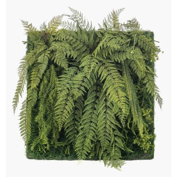 Fern Asparagus ZALVEN in plastica, verde, 100x100 cm