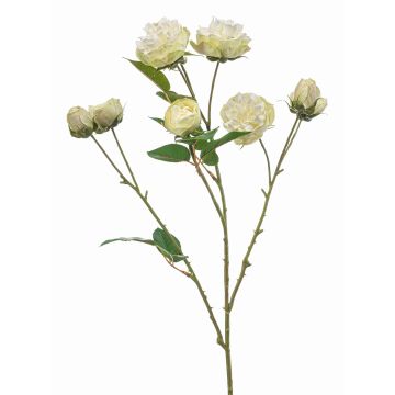 Ramo artificiale di cavolo rosa TRUVOL, bianco-verde, 65 cm