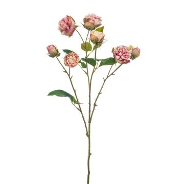 Ramo artificiale di cavolo rosa TRUVOL, rosa, 65 cm