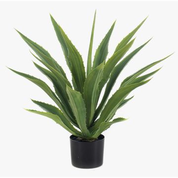 Agave americana artificiale ZURNAL in vaso decorativo, crossdoor, verde, 70 cm