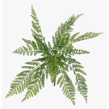 Pianta artificiale felce femmina STIGOR su bastoncino, crossdoor, verde, 55 cm