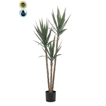 Palma yucca artificiale GREVAL, crossdoor, 150 cm