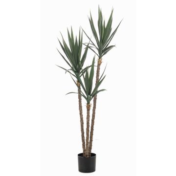 Palma yucca artificiale GREVAL, crossdoor, 150 cm Palma yucca artificiale GREVAL, crossdoor, 150 cm