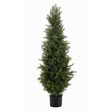 Cedro artificiale ZARGEN, crossdoor, verde, 120 cm Cedro artificiale ZARGEN, crossdoor, verde, 120 cm