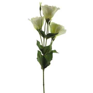 Lisianthus artificiale ALARONA, crema, 55 cm