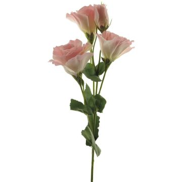 Lisianthus finto ALARONA, rosa-crema, 55 cm