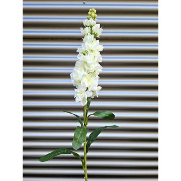 Fiore artificiale Levkoje BARIADE, bianco crema, 85 cm