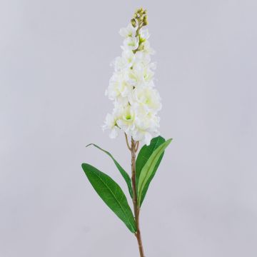 Fiore artificiale Levkoje BARIADE, crema-bianco, 85cm Fiore artificiale Levkoje BARIADE, crema-bianco, 85cm