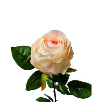 Rosa artificiale SUNJIK, bianco-rosa, 75 cm Rosa artificiale SUNJIK, bianco-rosa, 75 cm