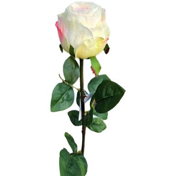 Rosa artificiale SUNJIK, crema-rosa, 75 cm Rosa artificiale SUNJIK, crema-rosa, 75 cm
