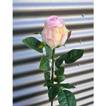 Rosa artificiale SUNJIK, rosa-crema, 75 cm Rosa artificiale SUNJIK, rosa-crema, 75 cm