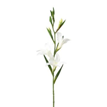 Fiore artificiale gladiolo LUNDYL, bianco, 70 cm