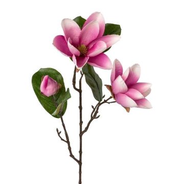 Ramo di fiori artificiali magnolia PLORNE, rosa, 70 cm