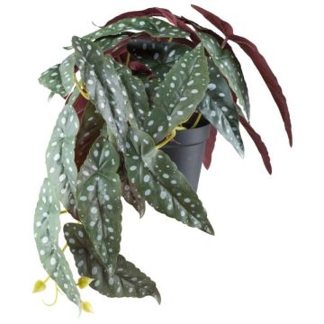 Pianta artificiale Begonia trota SNARHE, vaso decorativo, da appendere, verde-bianco, 24 cm