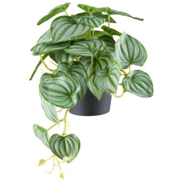 Pianta artificiale Peperoncino nano LUMHER, vaso decorativo, da appendere, verde-grigio, 24 cm