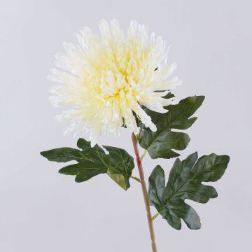 Crisantemo artificiale HIKJON, crema-bianco, 75 cm, Ø 18 cm Crisantemo artificiale HIKJON, crema-bianco, 75 cm, Ø 18 cm