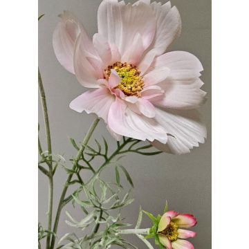 Ramo decorativo con fiori di margherita HIKJAN, rosa-bianco, 80 cm
