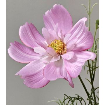 Ramo decorativo con corioli HIKJAN, rosa, 80 cm